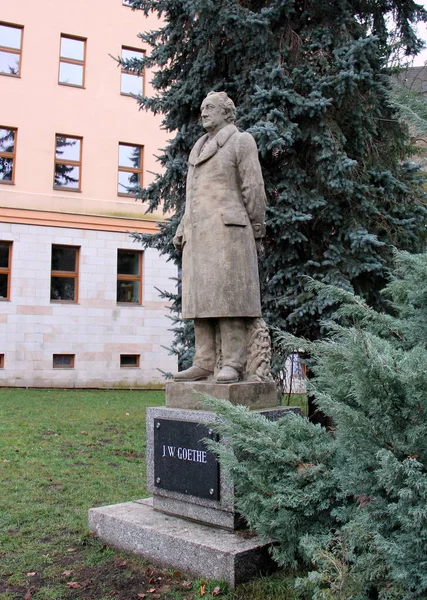 Przewodniczący Statua Goethego Loket Czechy Stycznia 2020 — Zdjęcie stockowe