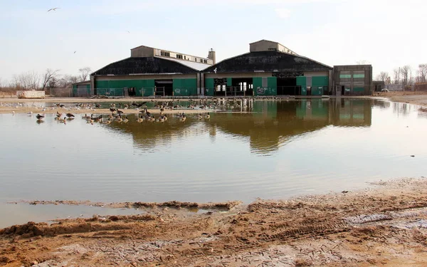 Seaplane Hangars Miller Field Abandoned United States Army Facility 1921 — Stock fotografie