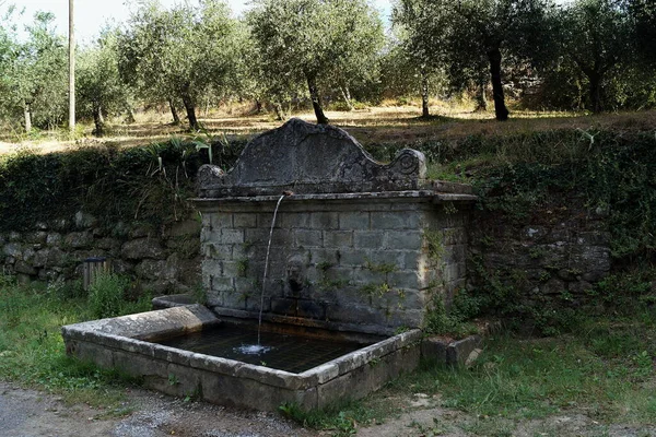 Old Rustic Water Fountain Rural Road Olive Grove Background Lamole — Stock Photo, Image