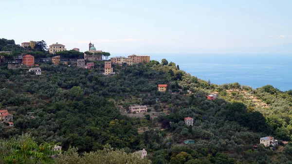 Ligurische Kust Ten Oosten Van Genua Uitzicht Vanaf San Rocco — Stockfoto
