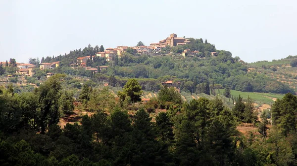Paisagem Verão Toscana Torno Cidade Panzano Olivais Vinhas Chianti Itália — Fotografia de Stock