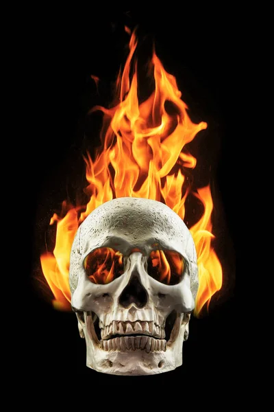 Crânio humano em chamas de fogo — Fotografia de Stock
