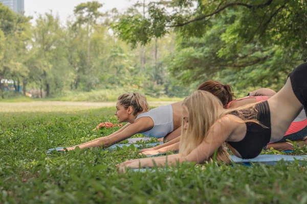 Cuatro amigas diversas que se divierten haciendo ejercicio y yoga juntas — Foto de Stock