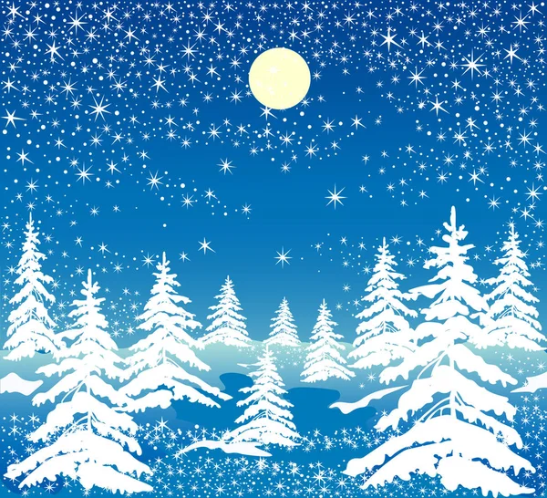 Nacht winter forest — Stockvector