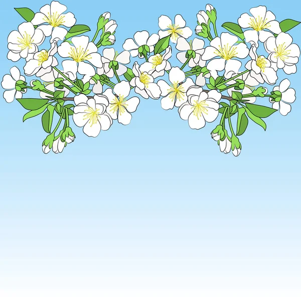Cerisier de branche en fleurs — Image vectorielle