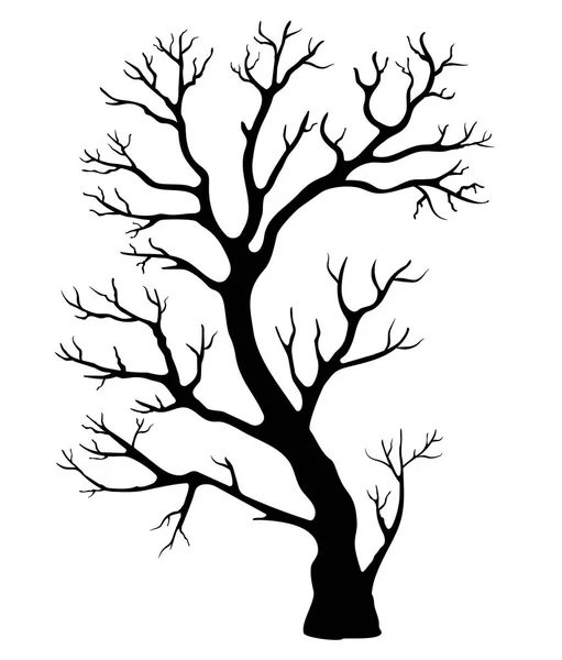 Schwarze Silhouette eines Baumes — Stockvektor