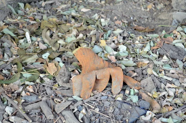Discarded Forgotten Yellow Work Glove — Stockfoto