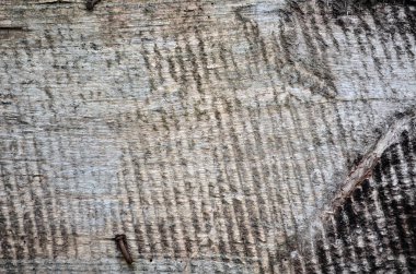 Eski ahşap bir parça.