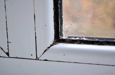 Toprakla kaplı beyaz plastik pencere