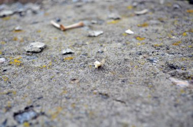 Beton yüzey dokusu veya Arkaplan Özeti Beton