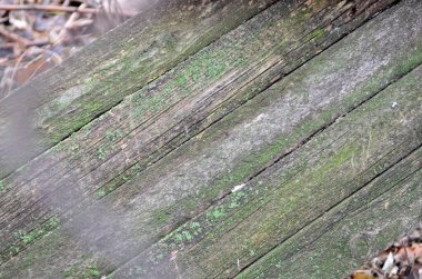 Eski ahşap plakalar doku