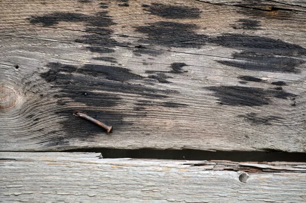 Die Textur der alten Holzplanke mit Nagel — Stockfoto