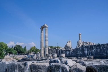 Antik Didyma Aydın kentindeki Apollo Tapınağı manzarası.