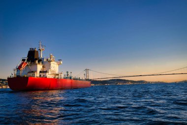 Konteyner gemisi İstanbul Boğazı ve Boğaz Köprüsü 'nden geçiyor.