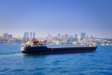  Konteyner gemisi İstanbul Boğazı 'ndan geçiyor 