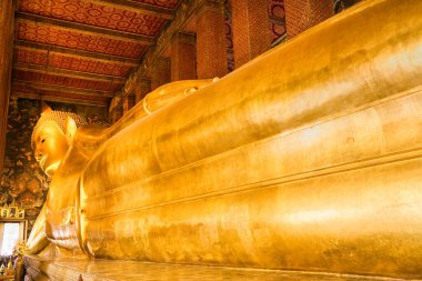 Buda 'nın altın heykeline yaslanarak. Wat Pho, Bangkok, Tayland