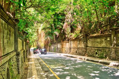 Art Street View Ubud, Bali, Endonezya.