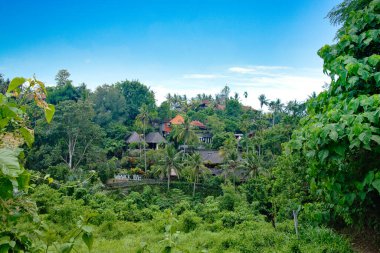 Warwick Ibah Lüks Villaları Ubud, Bali Adası