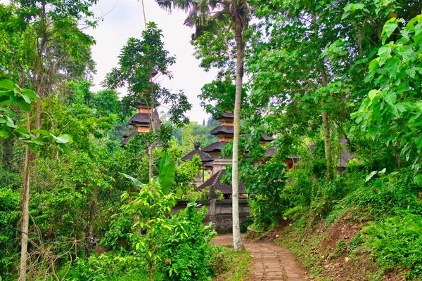 印度尼西亚巴厘Ubud的天然绿谷 著名的Campuhan岭漫步 — 图库照片