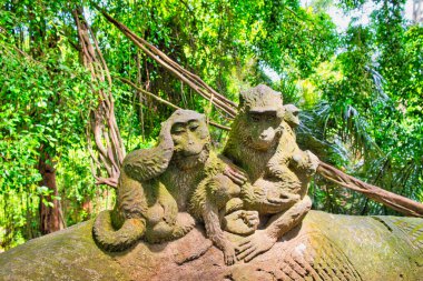 Endonezya, Ubud Bali 'deki Macak maymunları ve heykeller. Ubud 'daki Kutsal Maymun Ormanı ve Hindu tapınağı kompleksi.