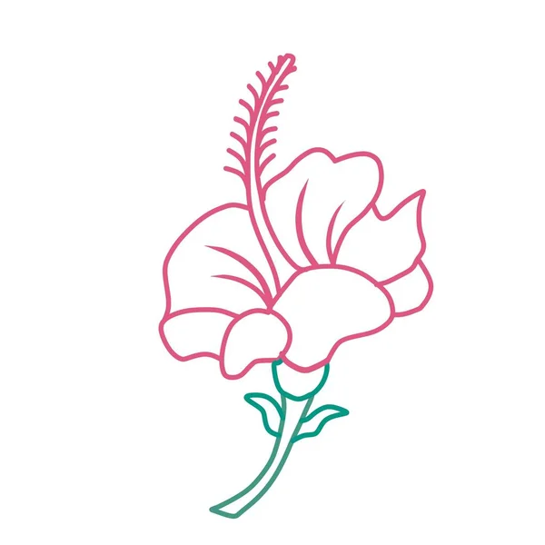 Pembe Hibiscus Çiçeği Tropik Vektörü — Stok Vektör