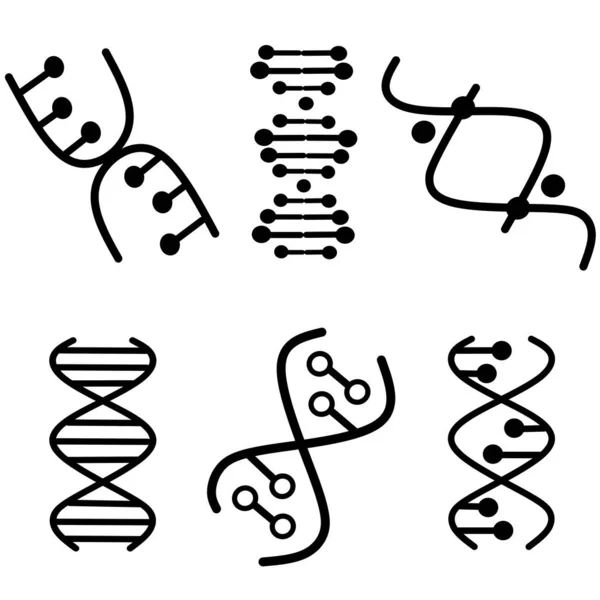 Dna螺旋形紫色和绿松石色图标设置 脱氧核糖核酸螺旋体 螺旋线 染色体 分子生物学 遗传密码 基因组 遗传学 孤立的病媒图解 — 图库矢量图片