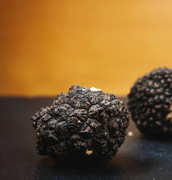Gros plan truffe champignons — Photo