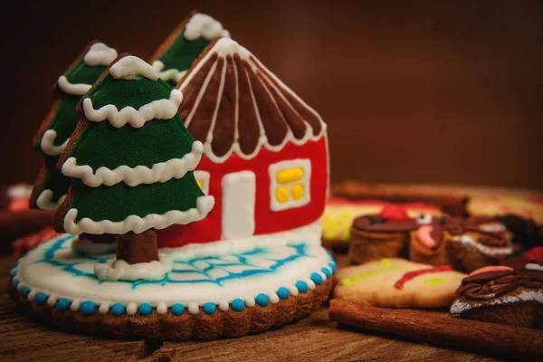 Natale fatti in casa biscotti di pan di zenzero — Foto Stock