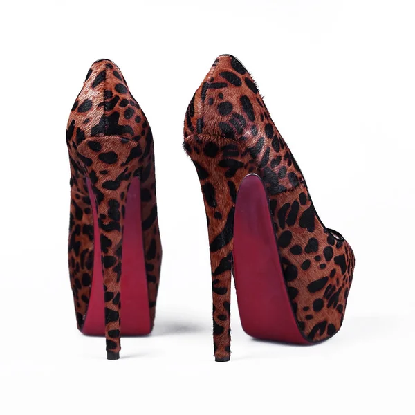 Zapatos de leopardo hembra —  Fotos de Stock