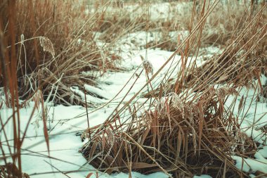 karlı havalarda ile kış manzarası