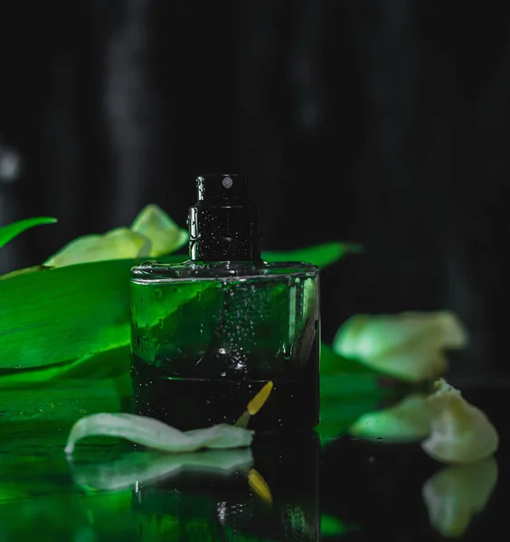 Perfume with green leaves — Stock Photo, Image