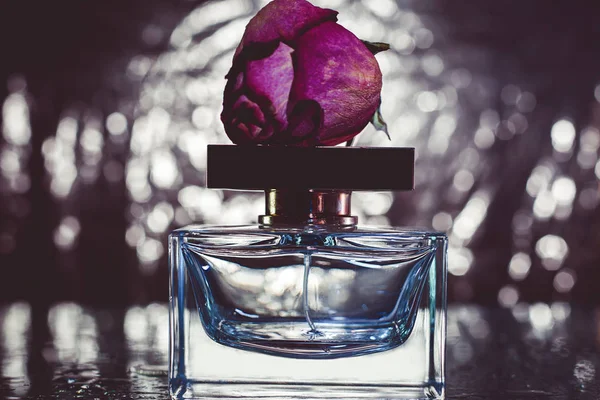 Garrafa de perfume e rosas rosa — Fotografia de Stock