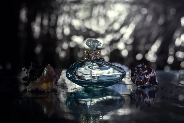 Perfume in beautiful blue bottle and seashell — Stock Photo, Image