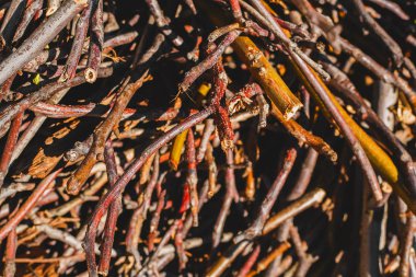 Arka plan ahşap şube