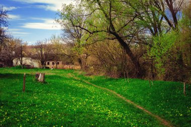 Yeşil çimenli, yollu ve bulutlu yaz manzarası
