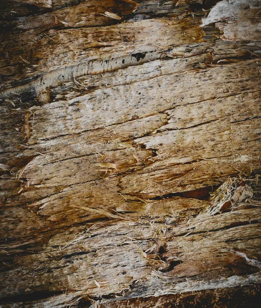 Textura de madera fondo —  Fotos de Stock