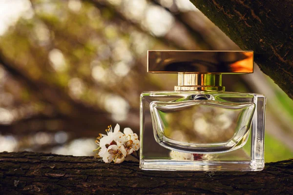Bouteille de parfum et fleurs sur fond en bois — Photo