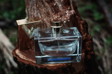 şık parfüm şişesi 