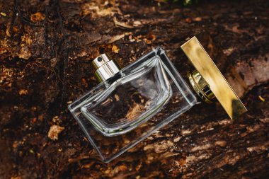 Parfüm şişesi ahşap arka planda