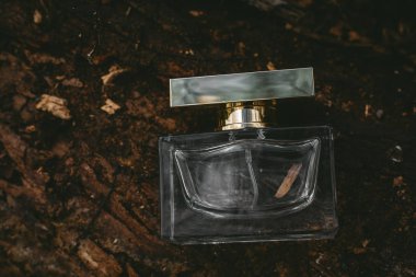 şık parfüm şişesi 
