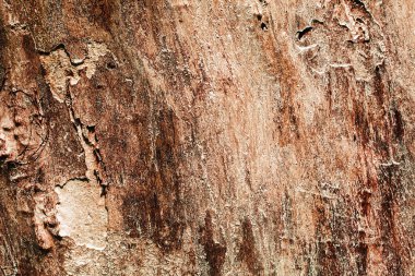 eski ahşap doku arkaplan yüzeyi