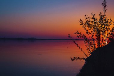 Bir nehir üzerinde güzel renkli sis. Sazlık siluetleri
