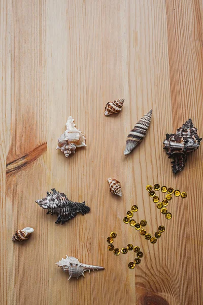 Seashells on a wooden background — Stock Photo, Image