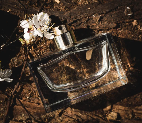 Sticla eleganta de parfum feminin — Fotografie, imagine de stoc