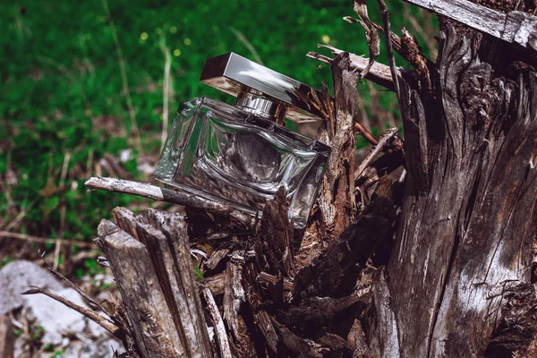 Şık kadın parfüm şişe — Stok fotoğraf