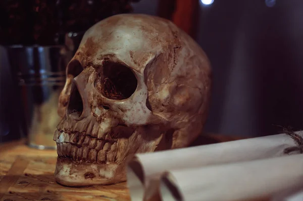 Bodegón con cráneo humano y flores —  Fotos de Stock