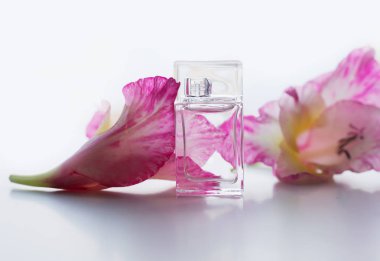 Pembe çiçekler ile parfüm