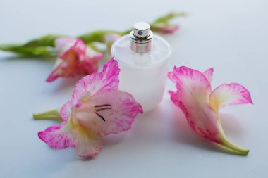 Pembe çiçekler ile parfüm