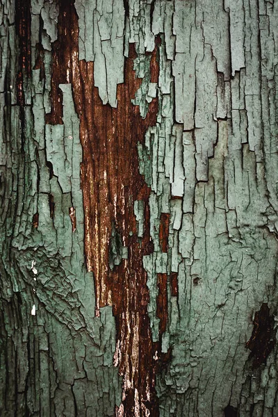 Fundo de madeira velho de conselhos de cor verde — Fotografia de Stock
