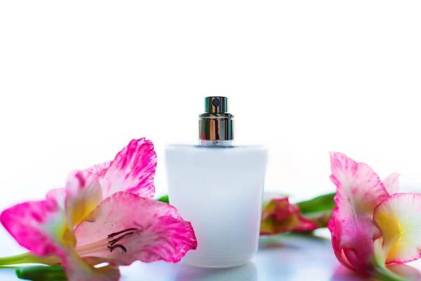Frascos de perfume com flores no fundo claro — Fotografia de Stock